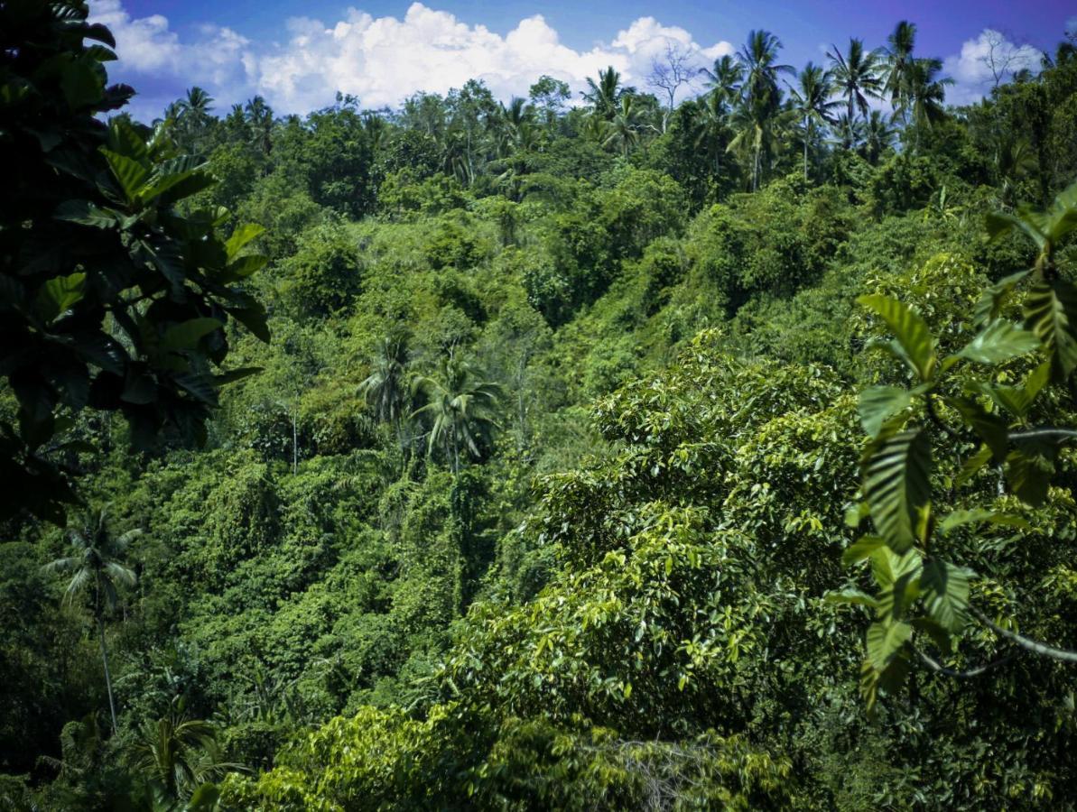 Angsoka Ubud