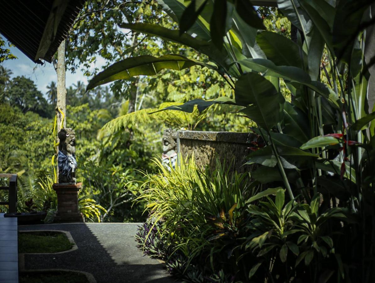 Angsoka Ubud