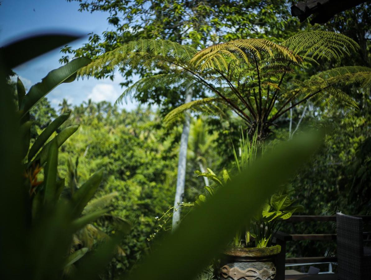 Angsoka 3* Ubud