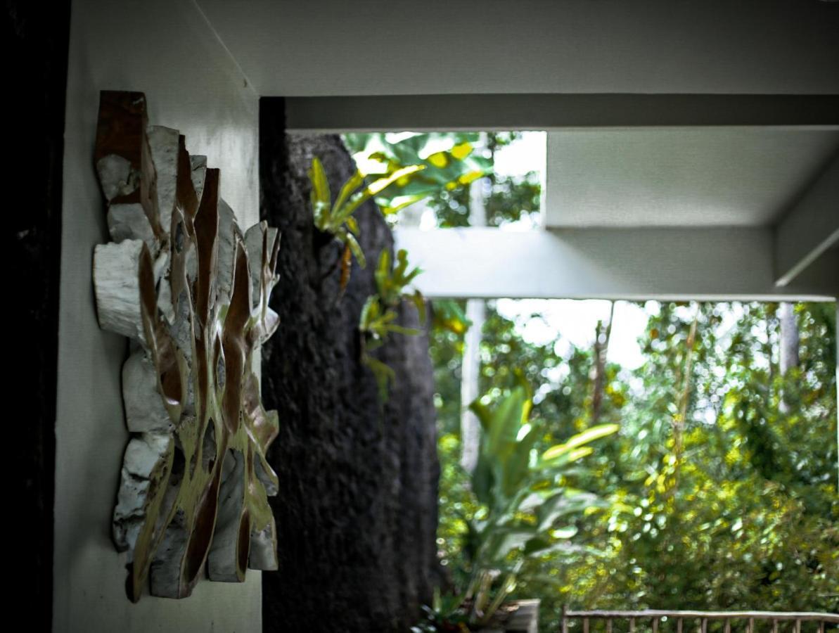 Angsoka Maison d'hôtes
