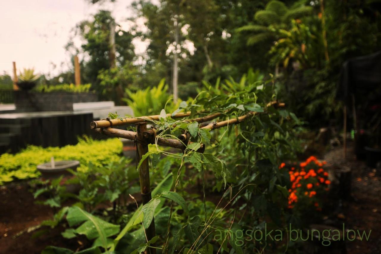 Angsoka 3* Ubud